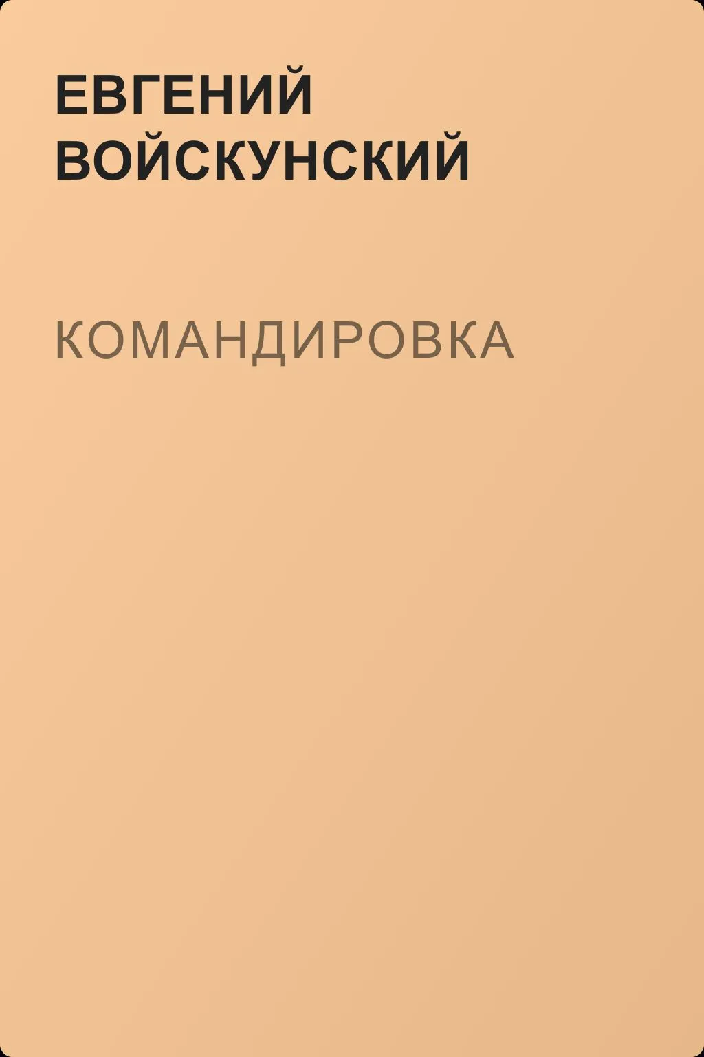 Командировка — обложка книги