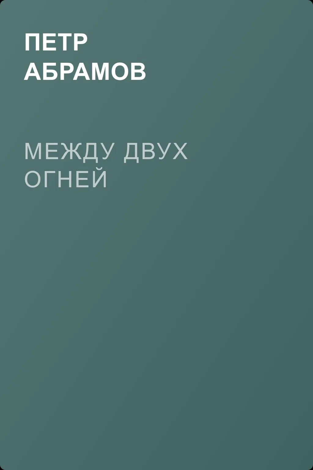 Между двух огней — обложка книги