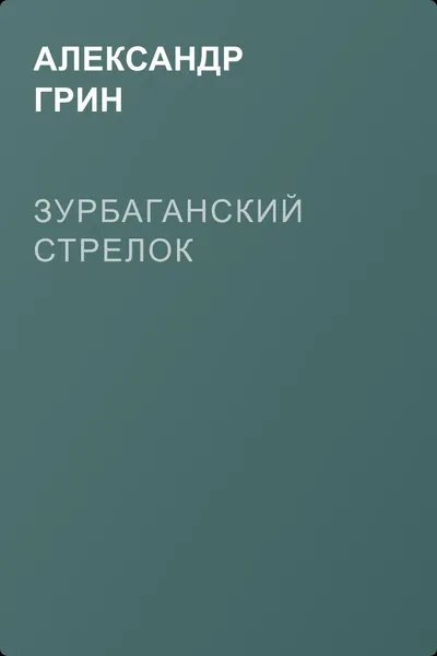 Зурбаганский стрелок — обложка книги