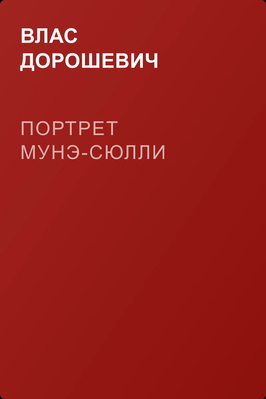Портрет Мунэ-Сюлли — обложка книги