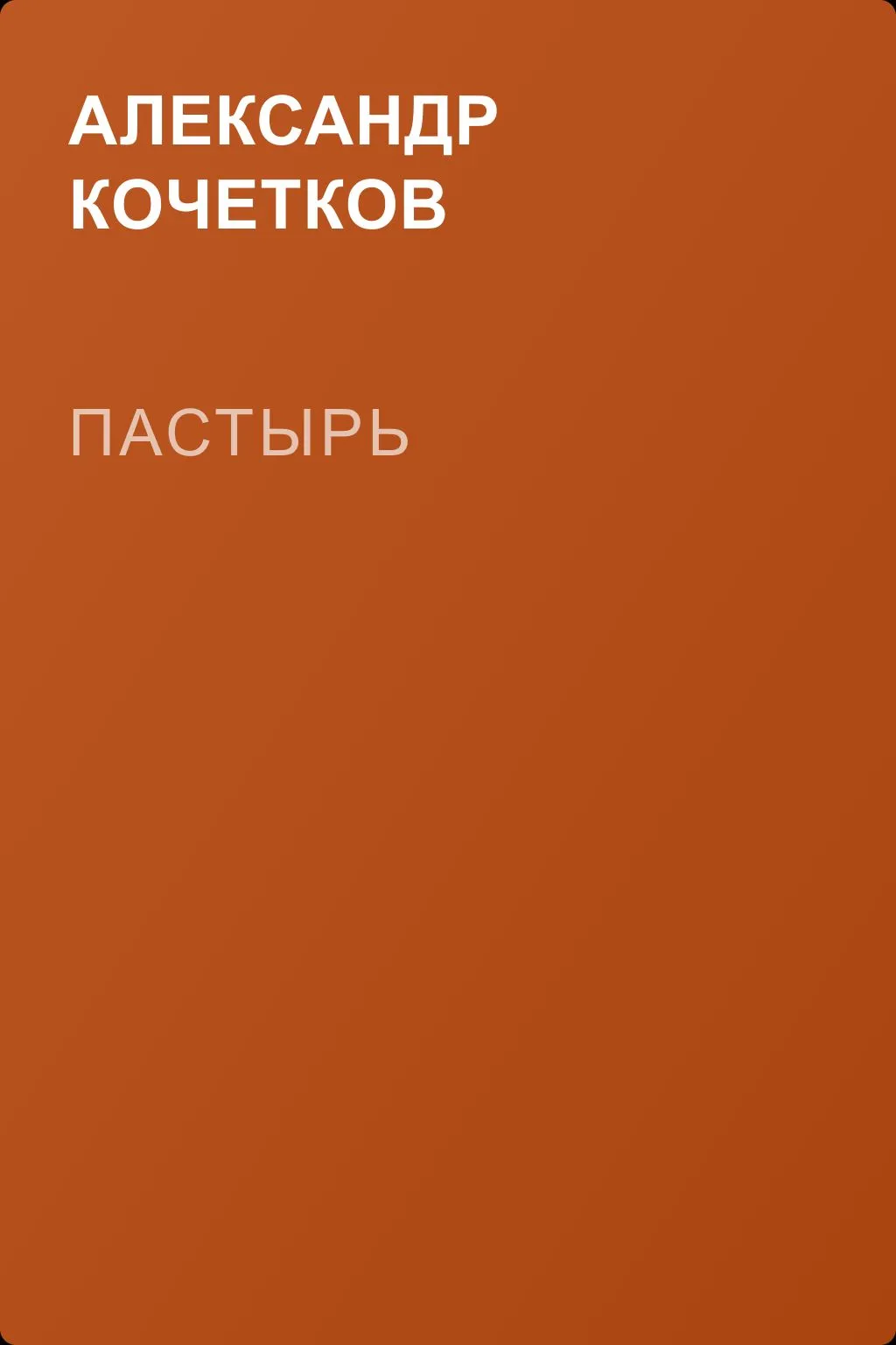 Пастырь — обложка книги