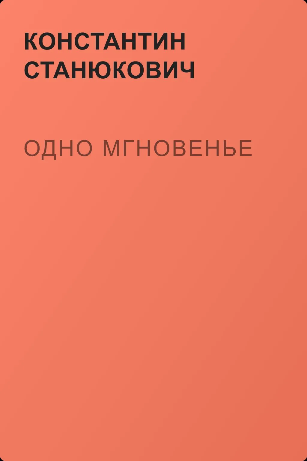 Одно мгновенье — обложка книги