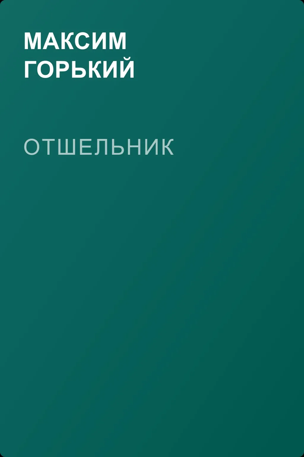Отшельник — обложка книги