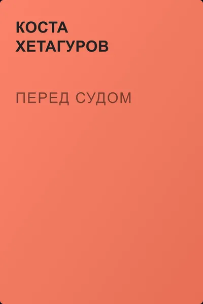 Перед судом — обложка книги