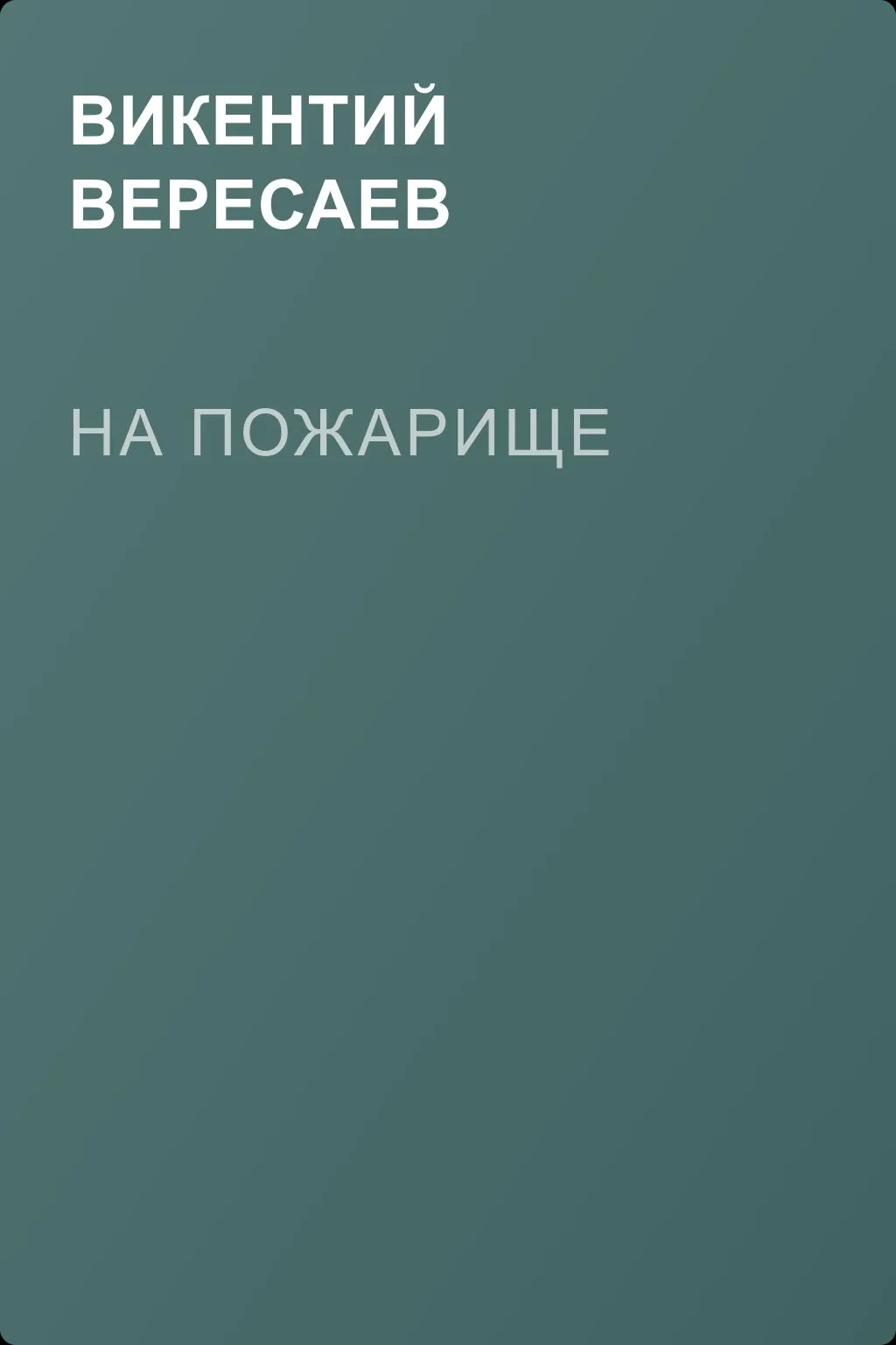 На пожарище — обложка книги