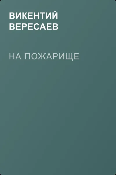На пожарище — обложка книги