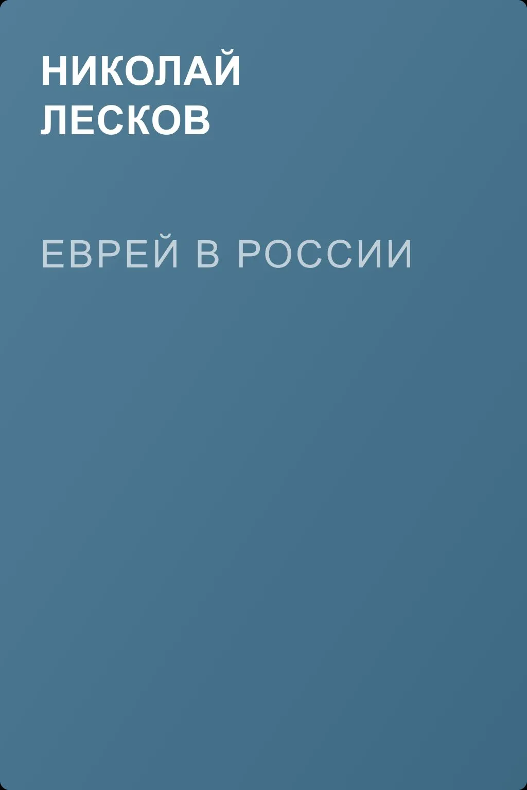 Еврей в России — обложка книги