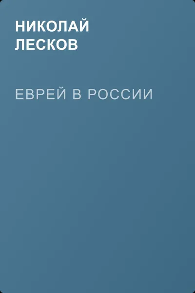 Еврей в России — обложка книги