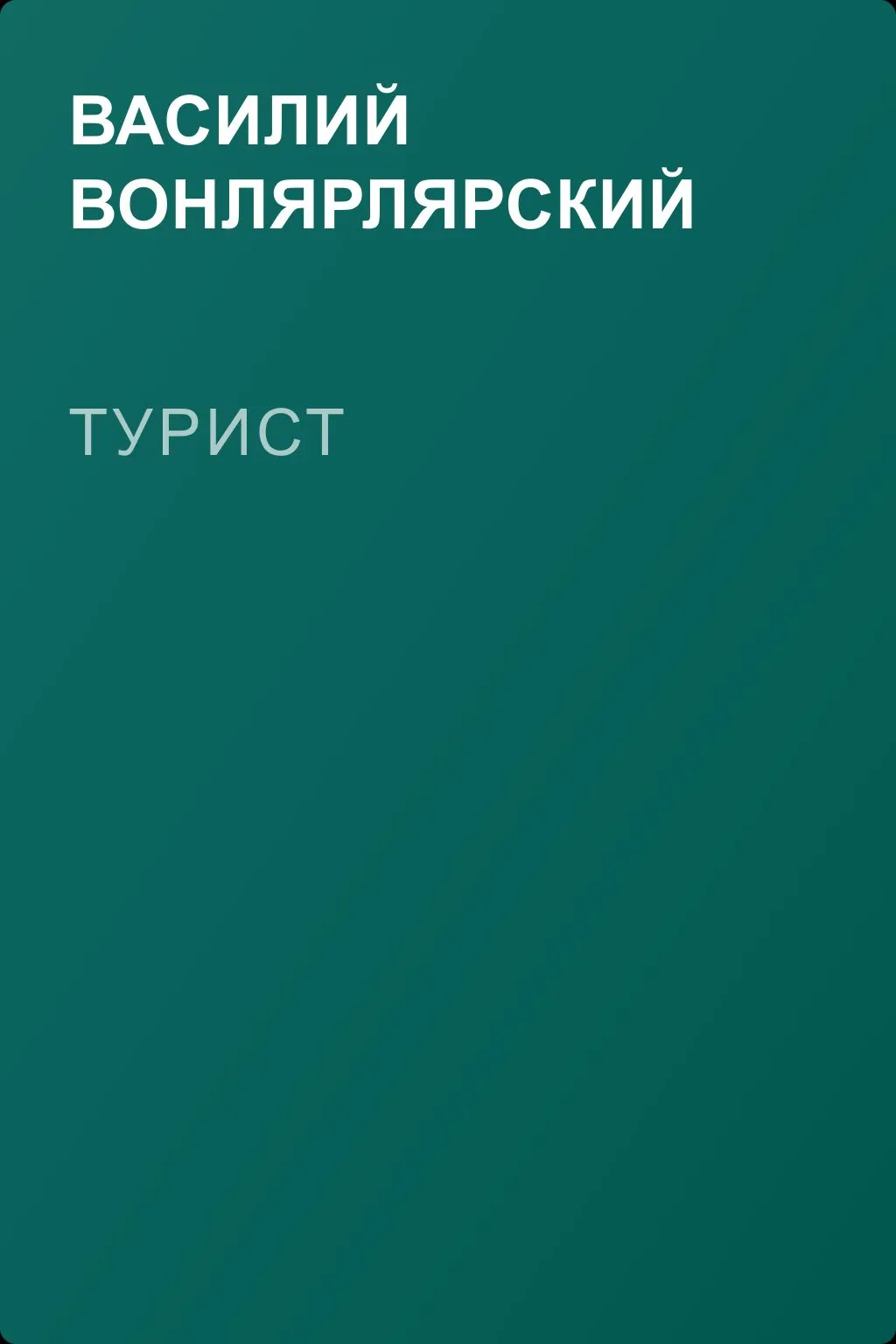 Турист — обложка книги