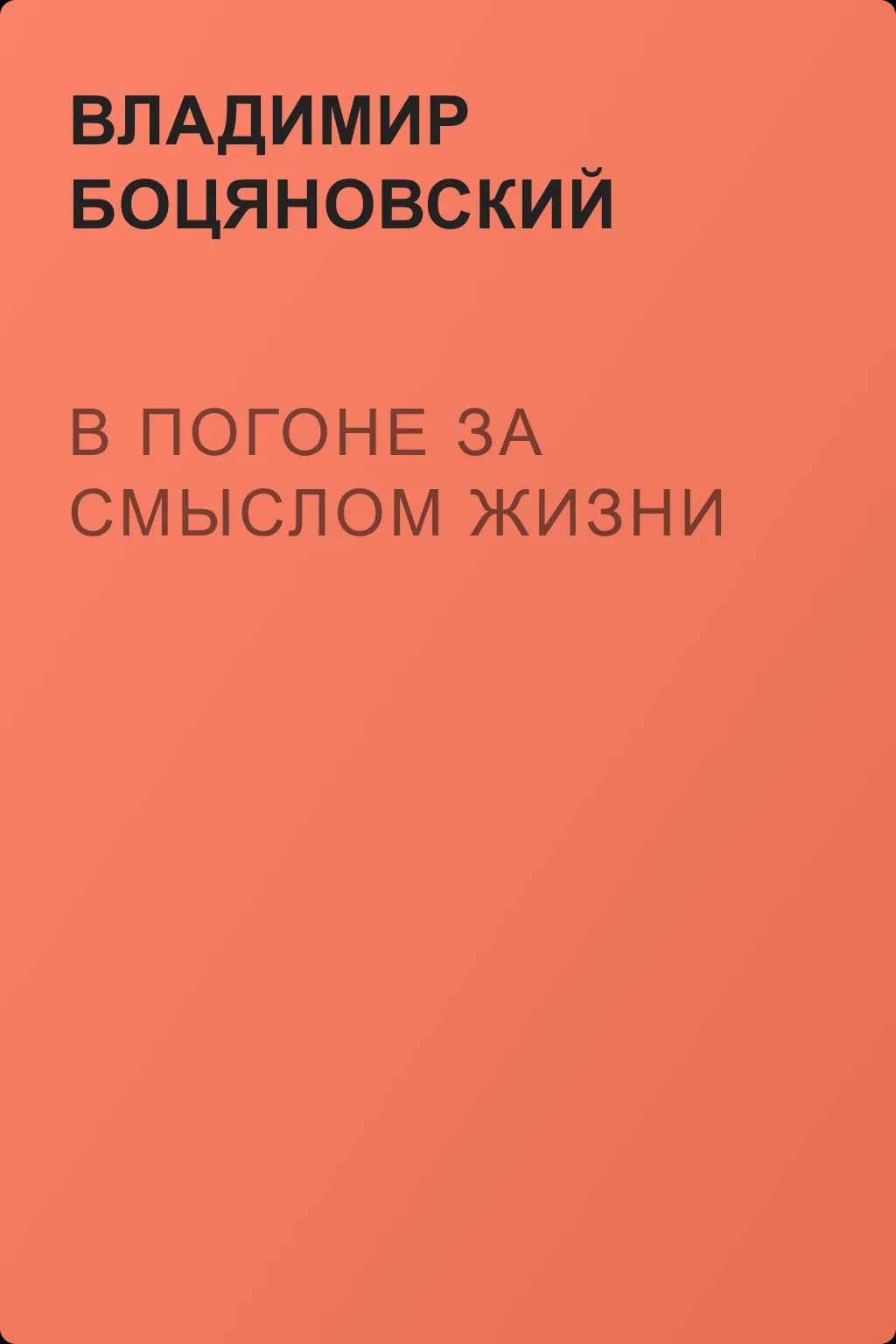 В погоне за смыслом жизни — обложка книги