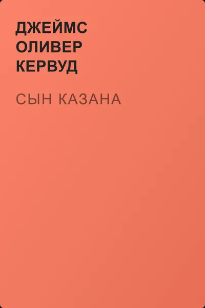Сын Казана — обложка книги