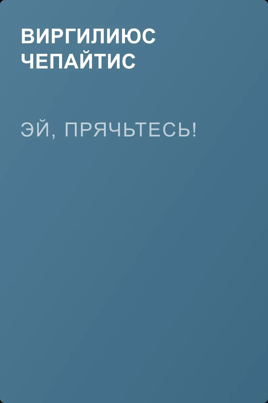 Эй, прячьтесь! — обложка книги