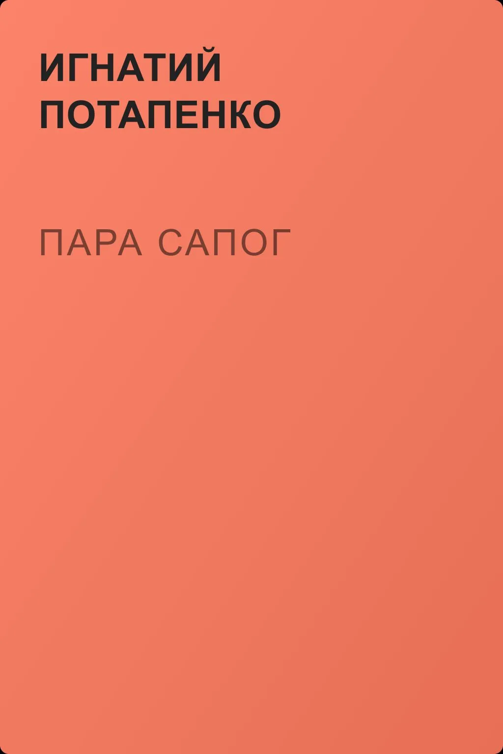 Пара сапог — обложка книги