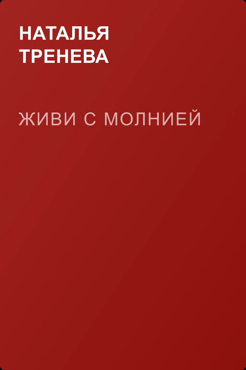 Живи с молнией — обложка книги