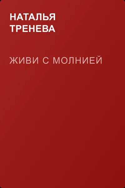 Живи с молнией — обложка книги
