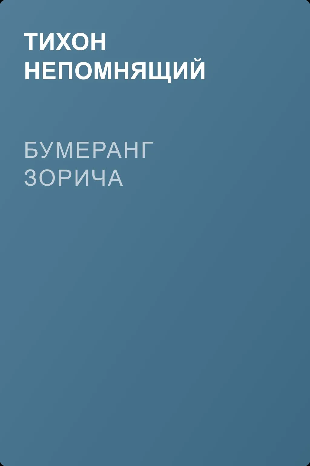 Бумеранг Зорича — обложка книги