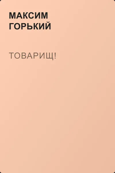 Товарищ! — обложка книги