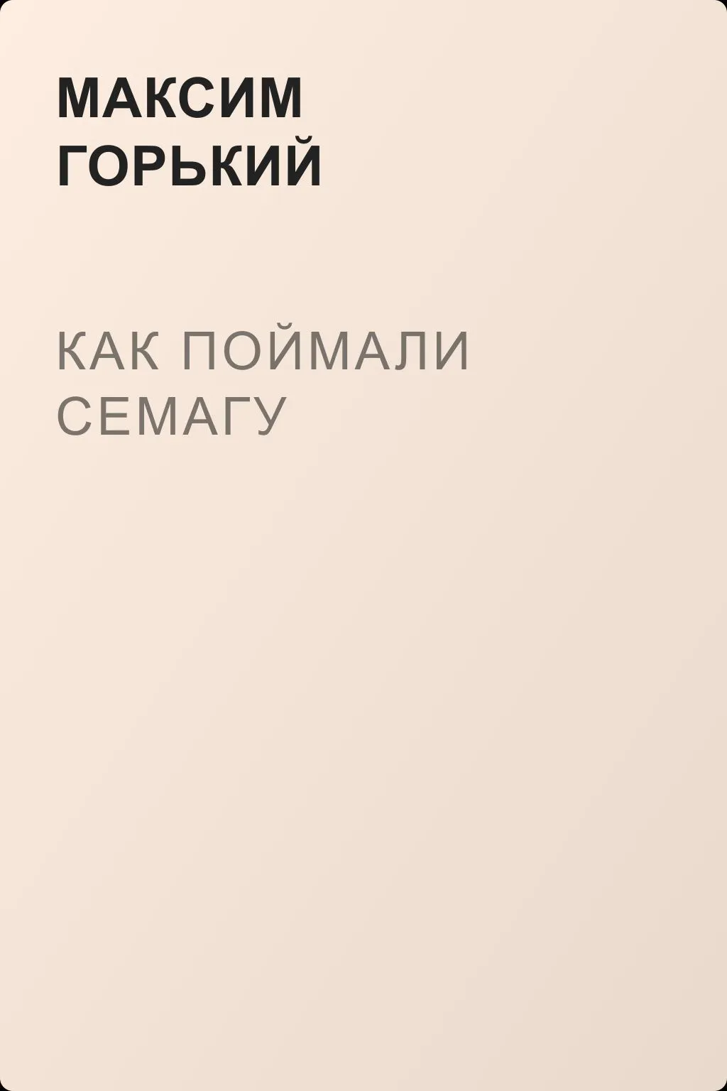 Как поймали Семагу — обложка книги