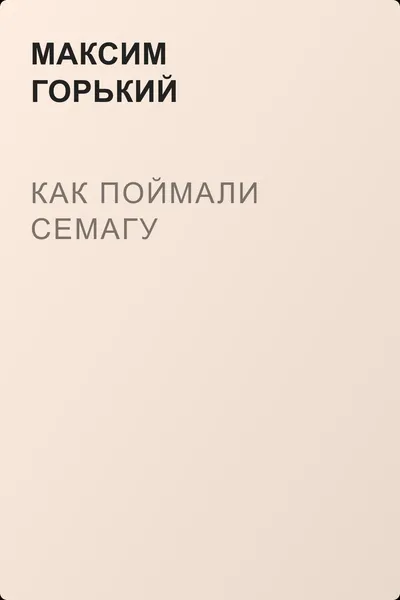 Как поймали Семагу — обложка книги