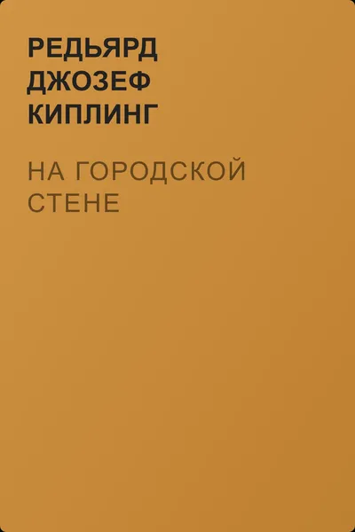 На городской стене — обложка книги