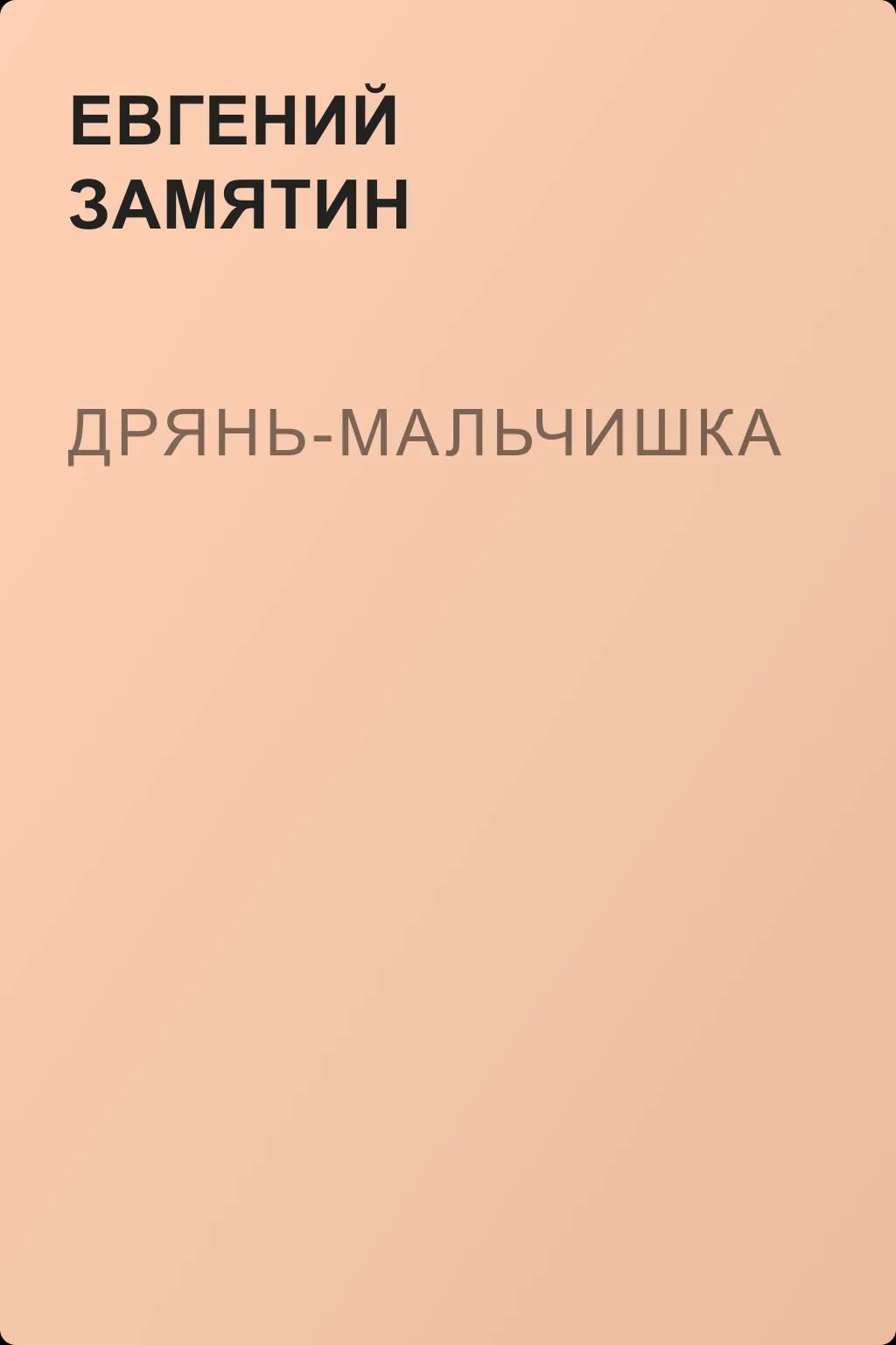 Дрянь-мальчишка — обложка книги