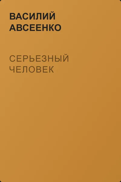 Серьезный человек — обложка книги