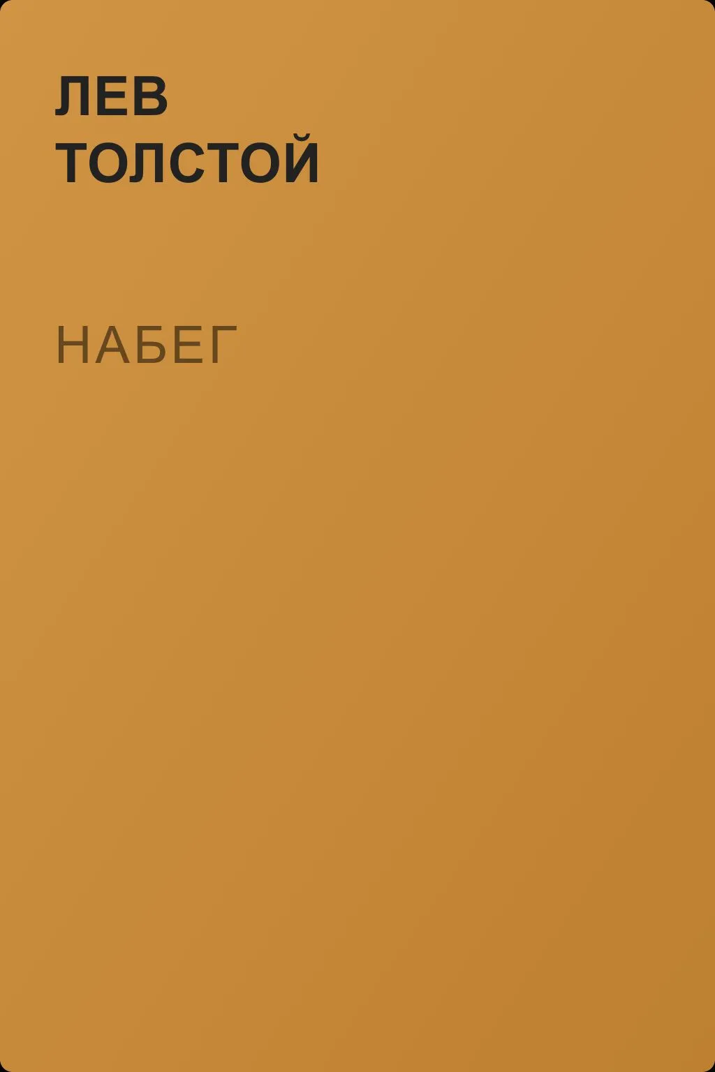 Набег — обложка книги