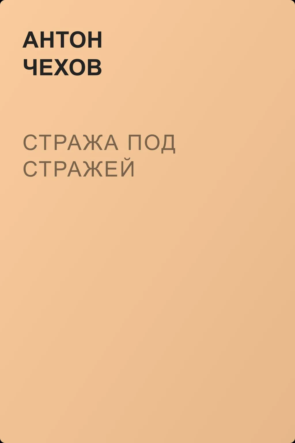 Стража под стражей — обложка книги