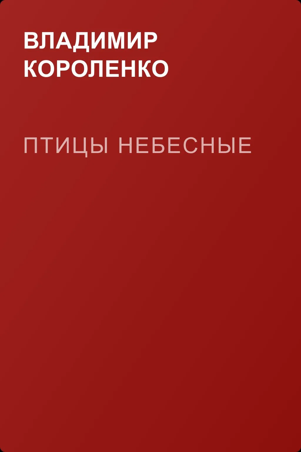 Птицы небесные — обложка книги