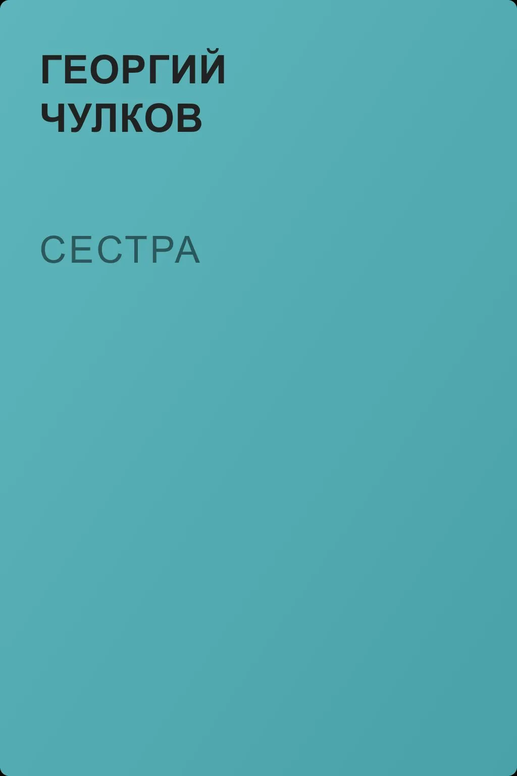 Сестра — обложка книги