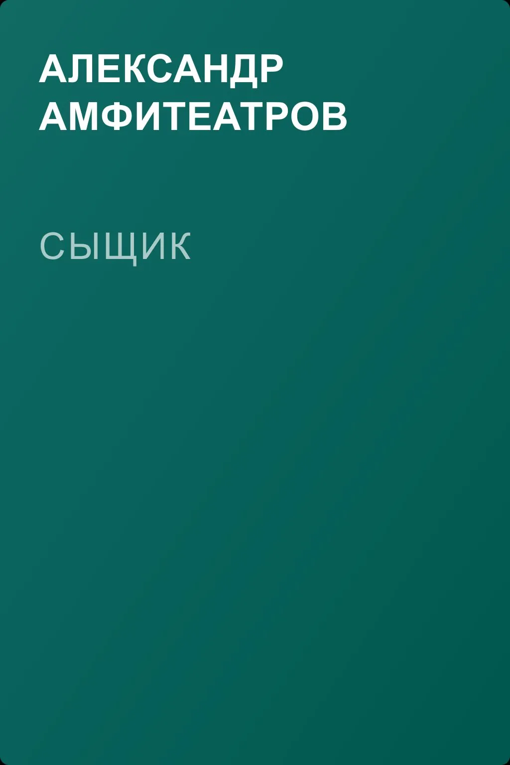 Сыщик — обложка книги