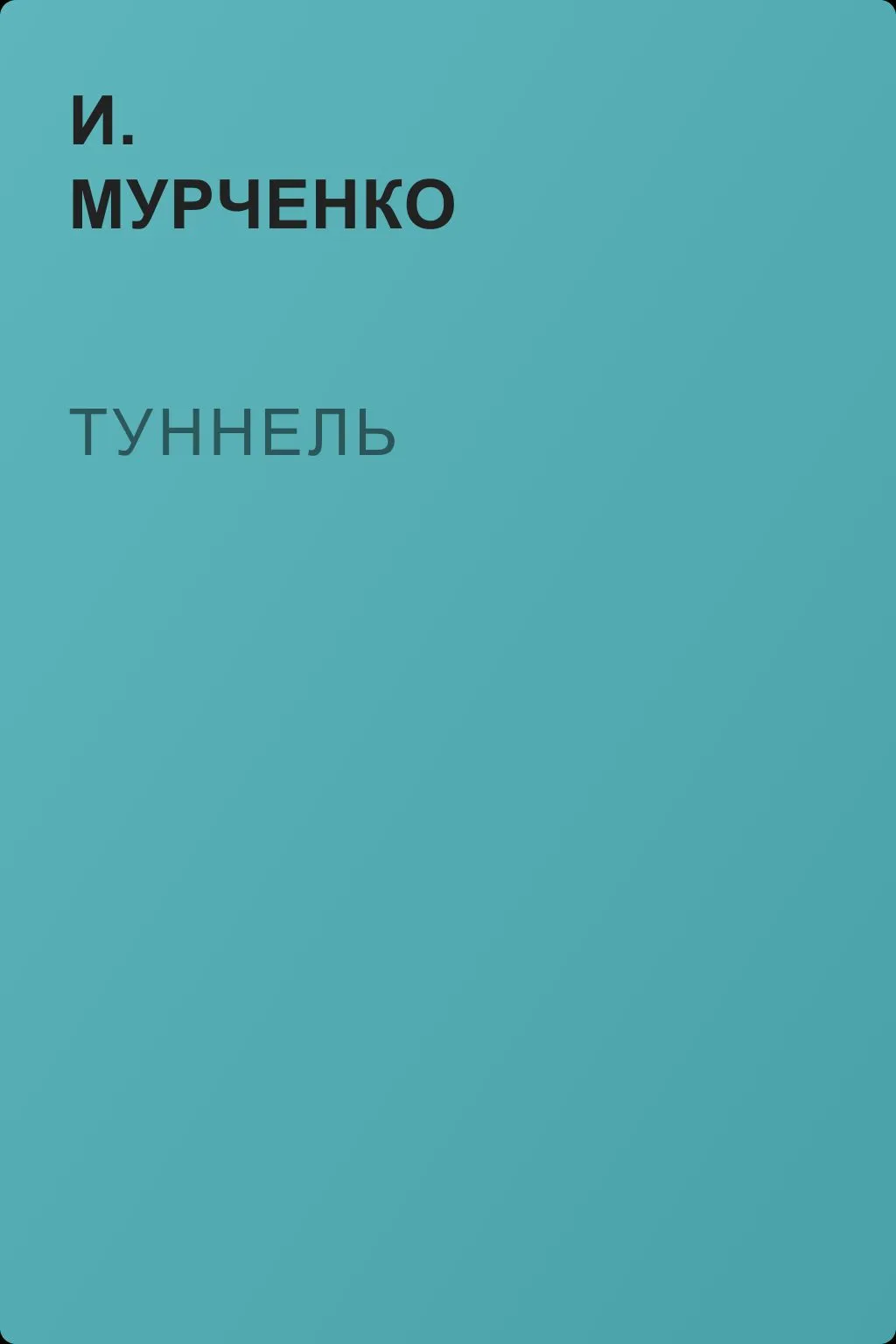 Туннель — обложка книги