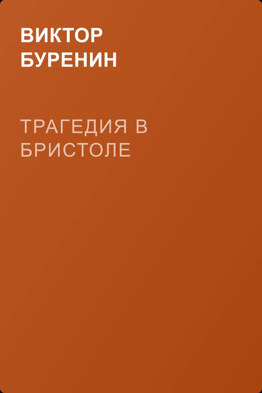 Трагедия в Бристоле — обложка книги