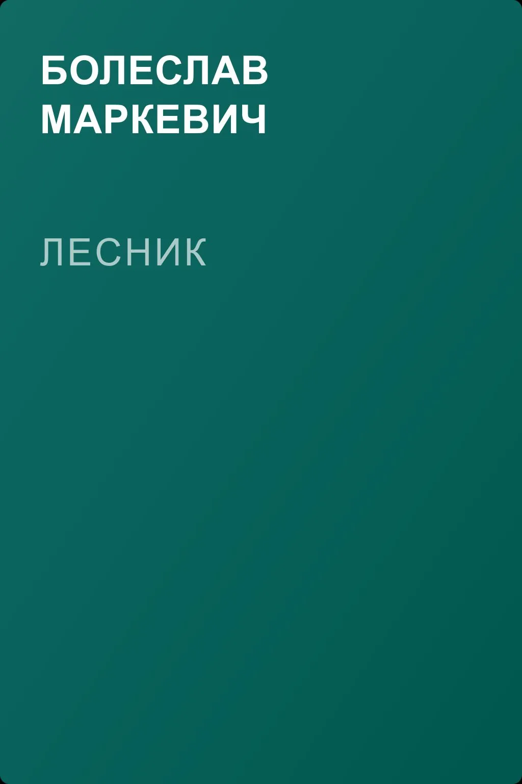 Лесник — обложка книги