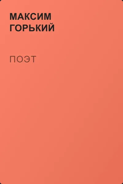 Поэт — обложка книги