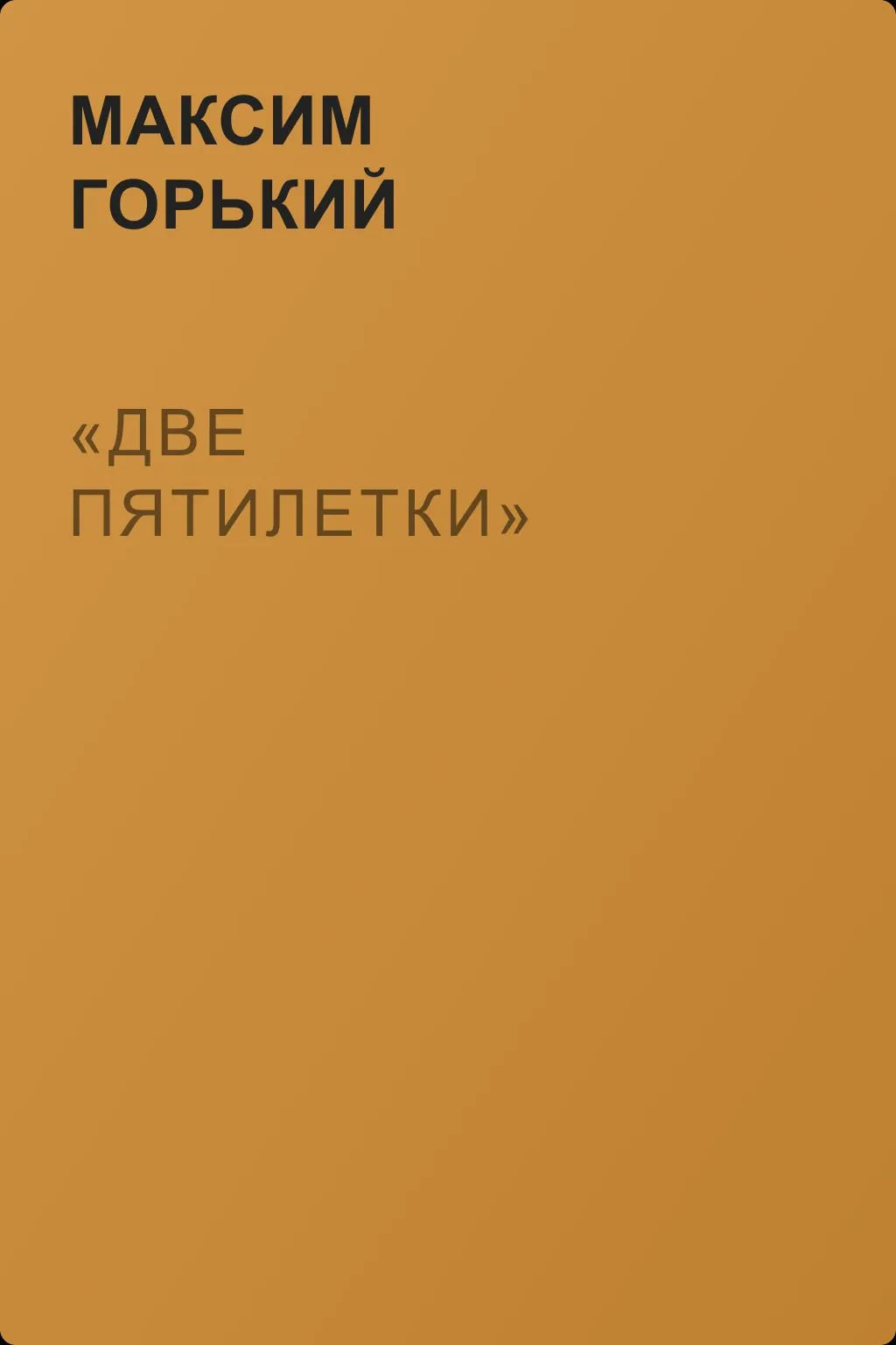 «Две пятилетки» — обложка книги