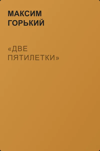 «Две пятилетки» — обложка книги