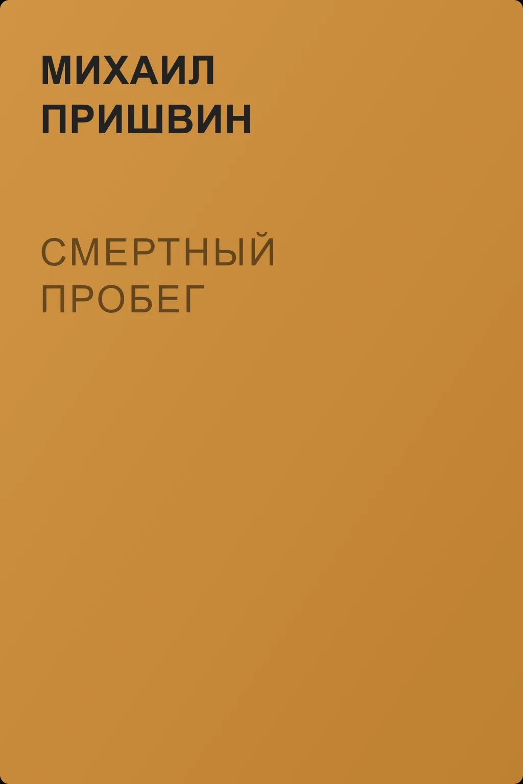 Смертный пробег — обложка книги