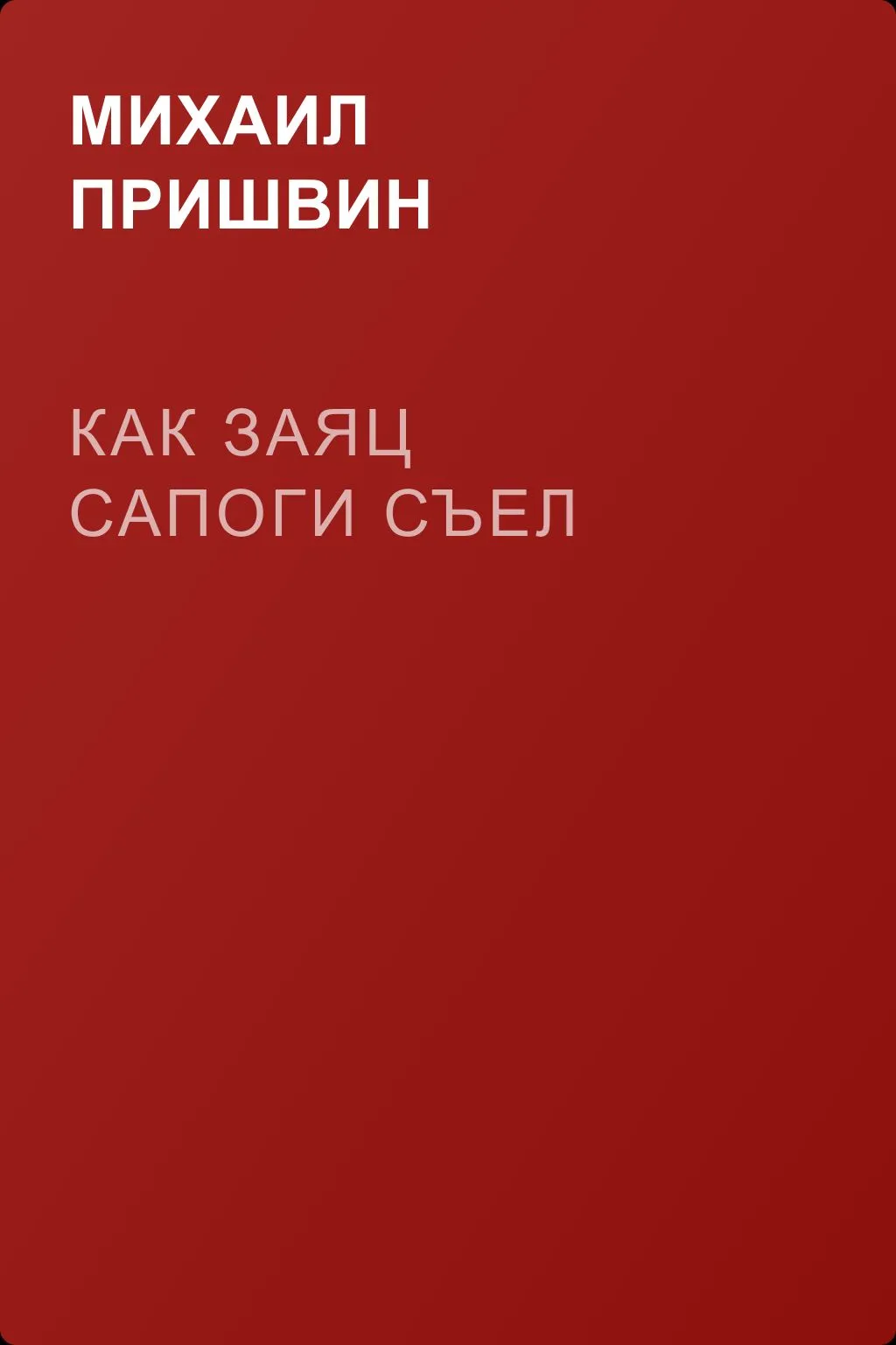 Как заяц сапоги съел — обложка книги