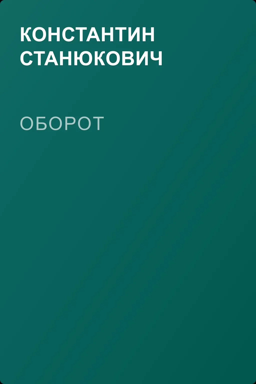 Оборот — обложка книги