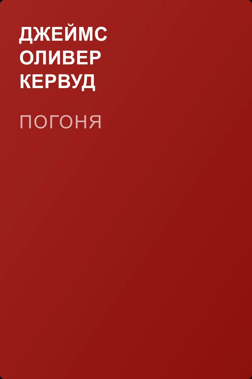 Погоня — обложка книги
