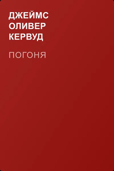 Погоня — обложка книги