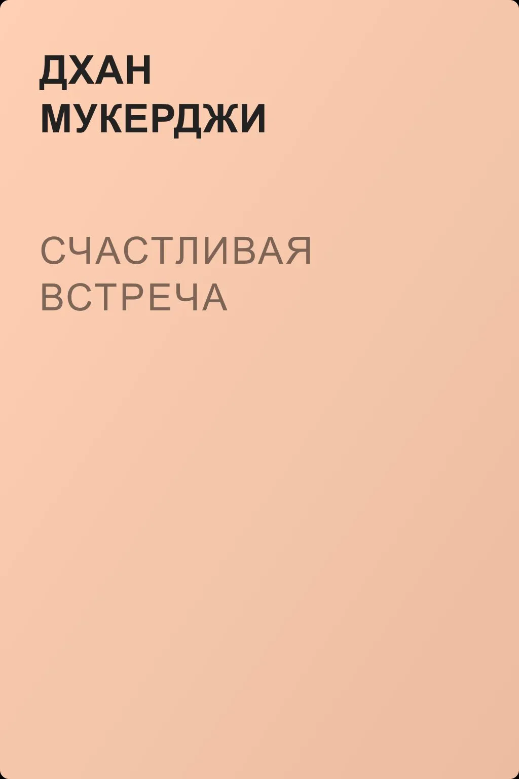 Счастливая встреча — обложка книги