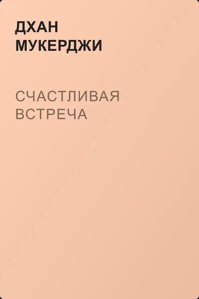 Счастливая встреча — обложка книги