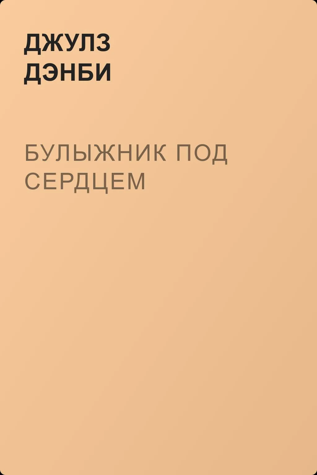 Булыжник под сердцем — обложка книги