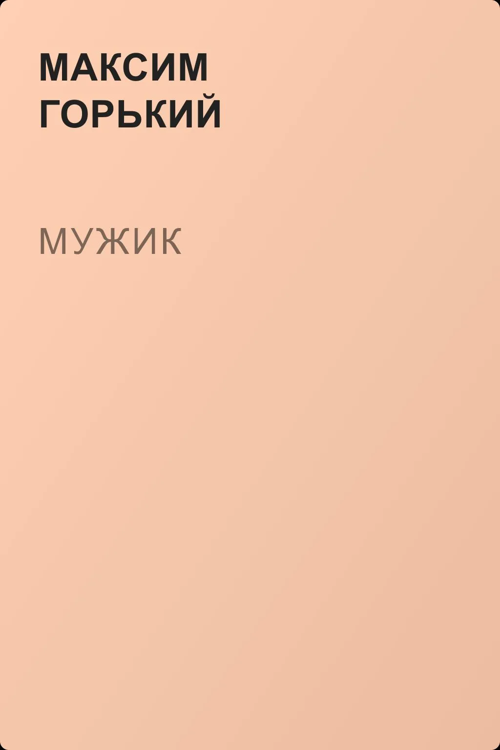 Мужик — обложка книги