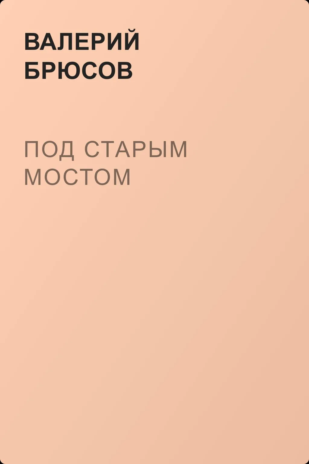 Под Старым мостом — обложка книги