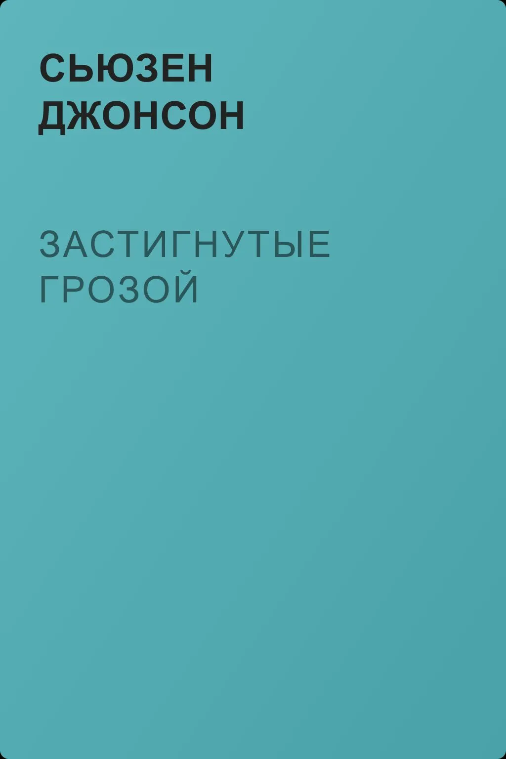 Застигнутые грозой — обложка книги