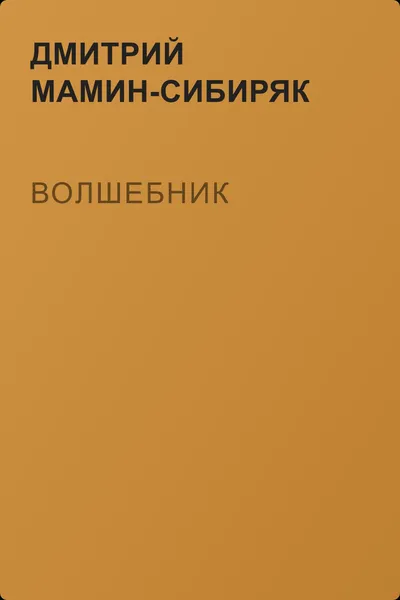 Волшебник — обложка книги
