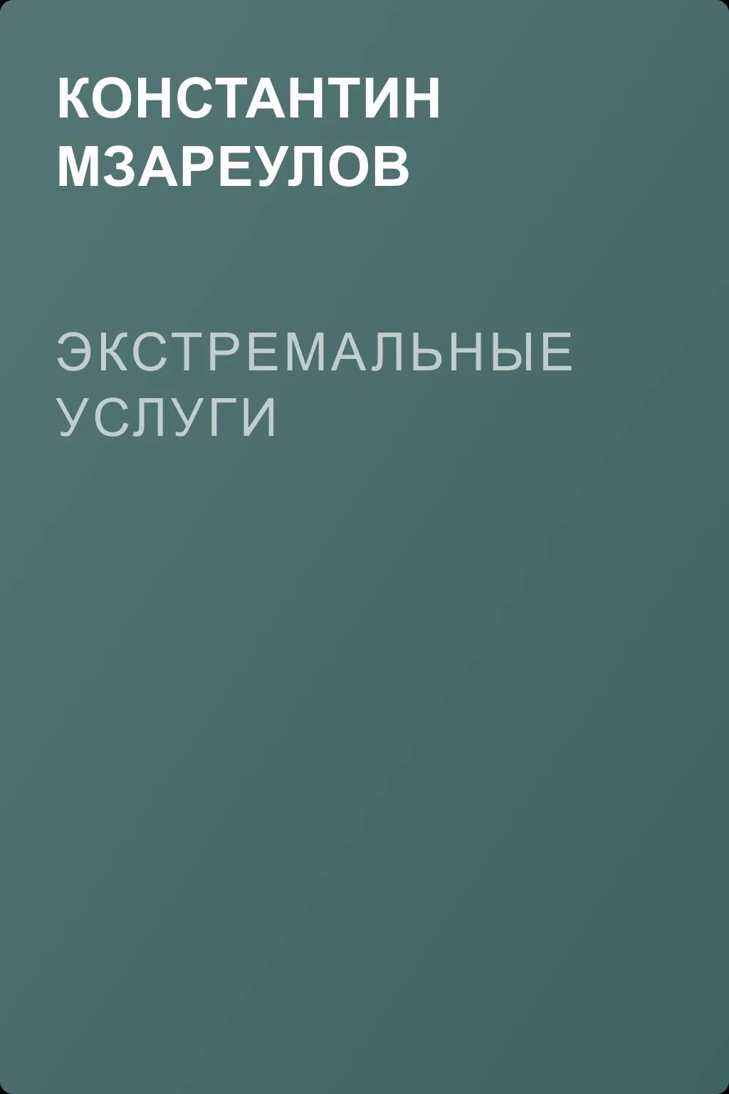 Экстремальные услуги — обложка книги